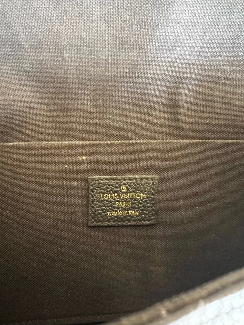 Louis Vuitton authentic louis